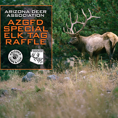 Special Elk Tag-AZ